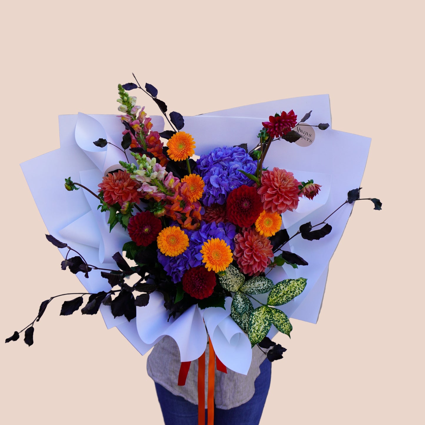 Classic Colour Crush