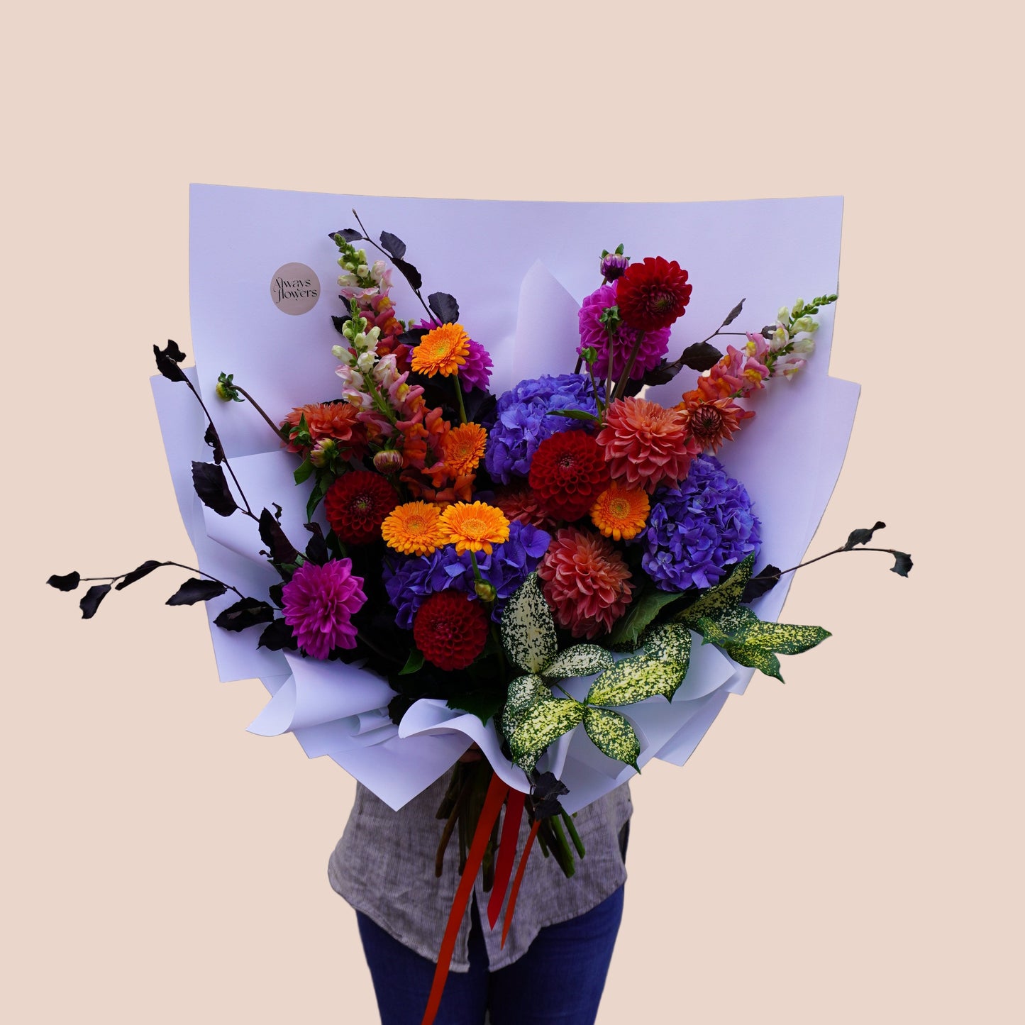 Abundant Colour Crush