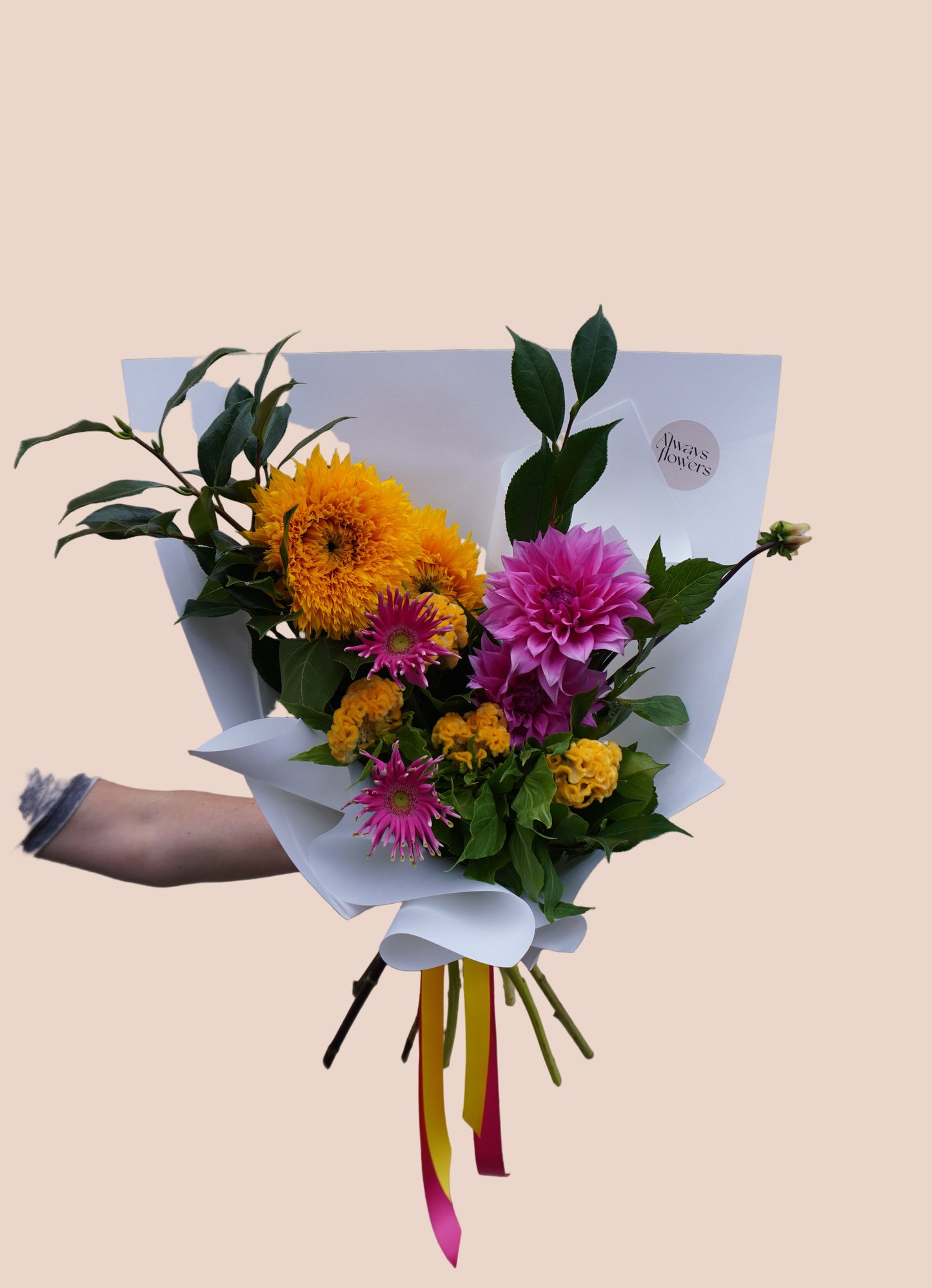 Petite Colour Crush