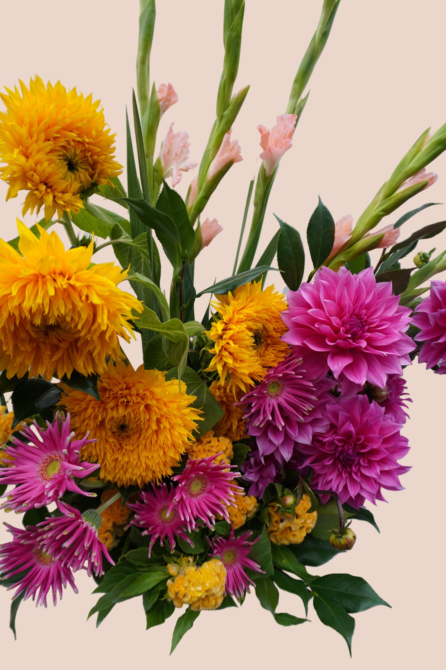 Opulent Colour Crush