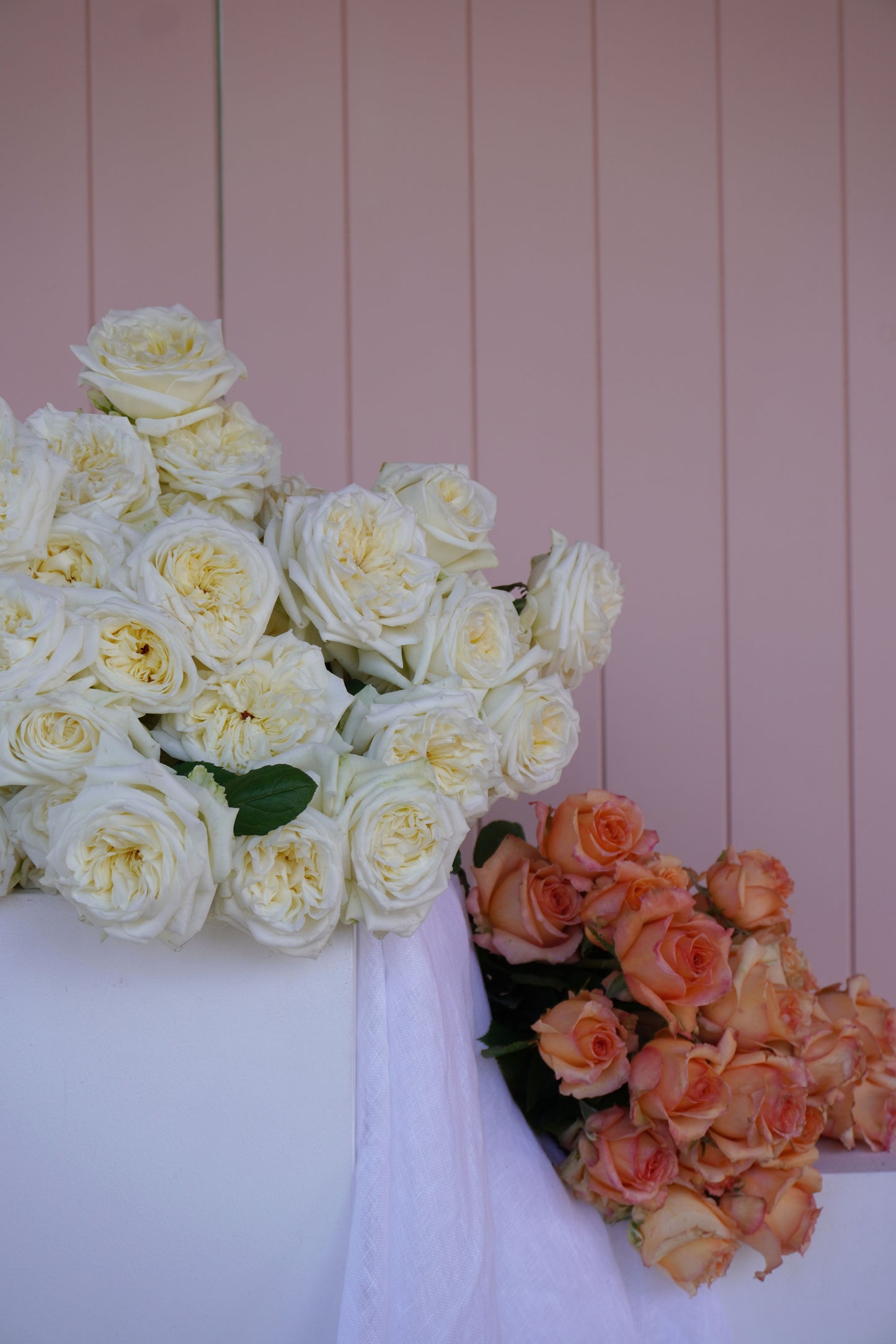 Garden Roses En Masse