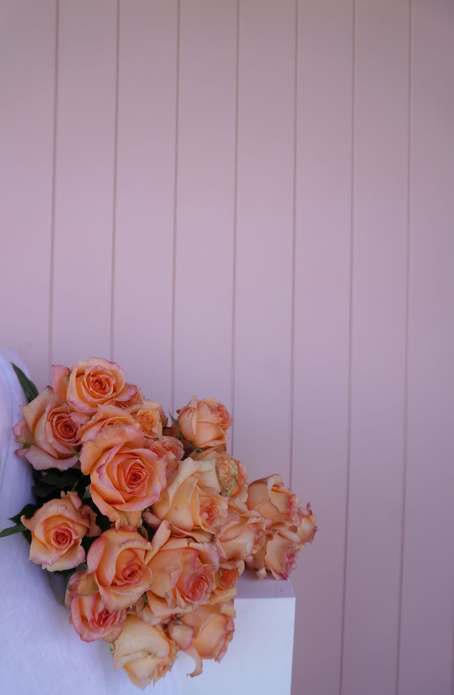 Garden Roses En Masse