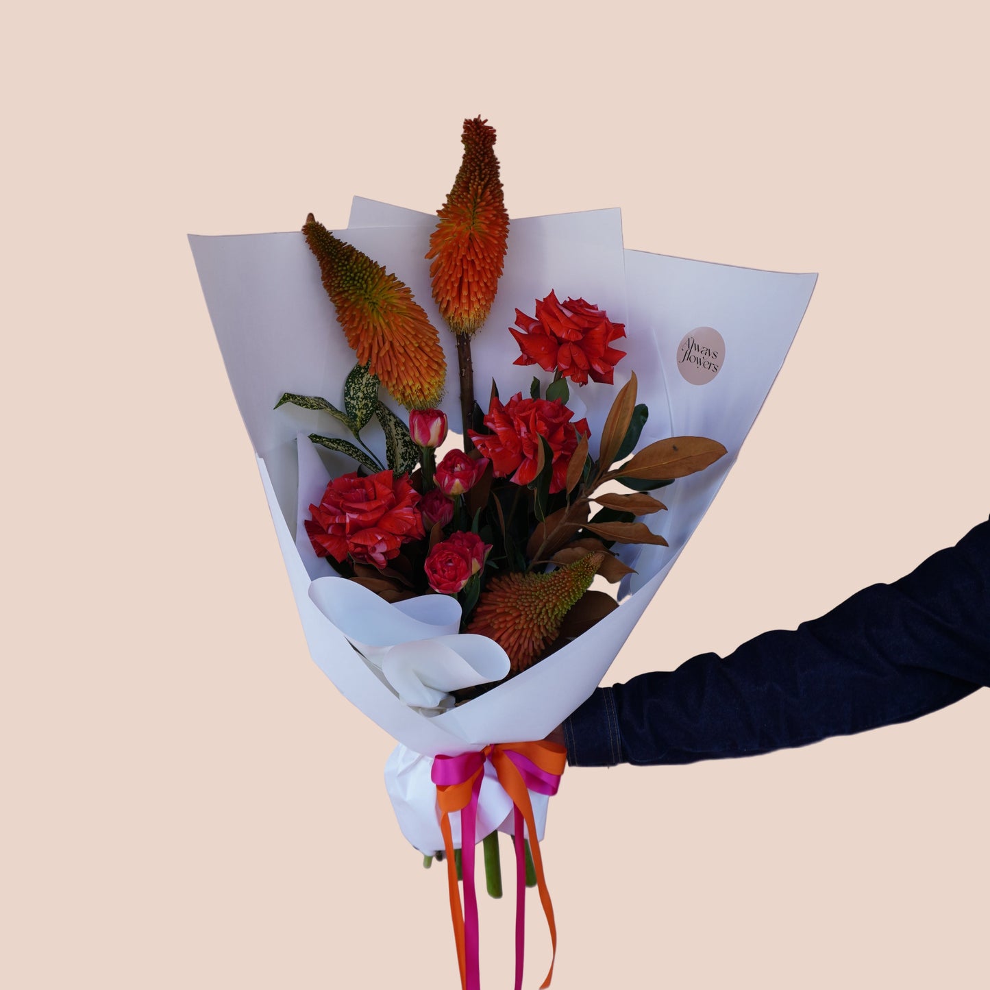 Petite Colour Crush