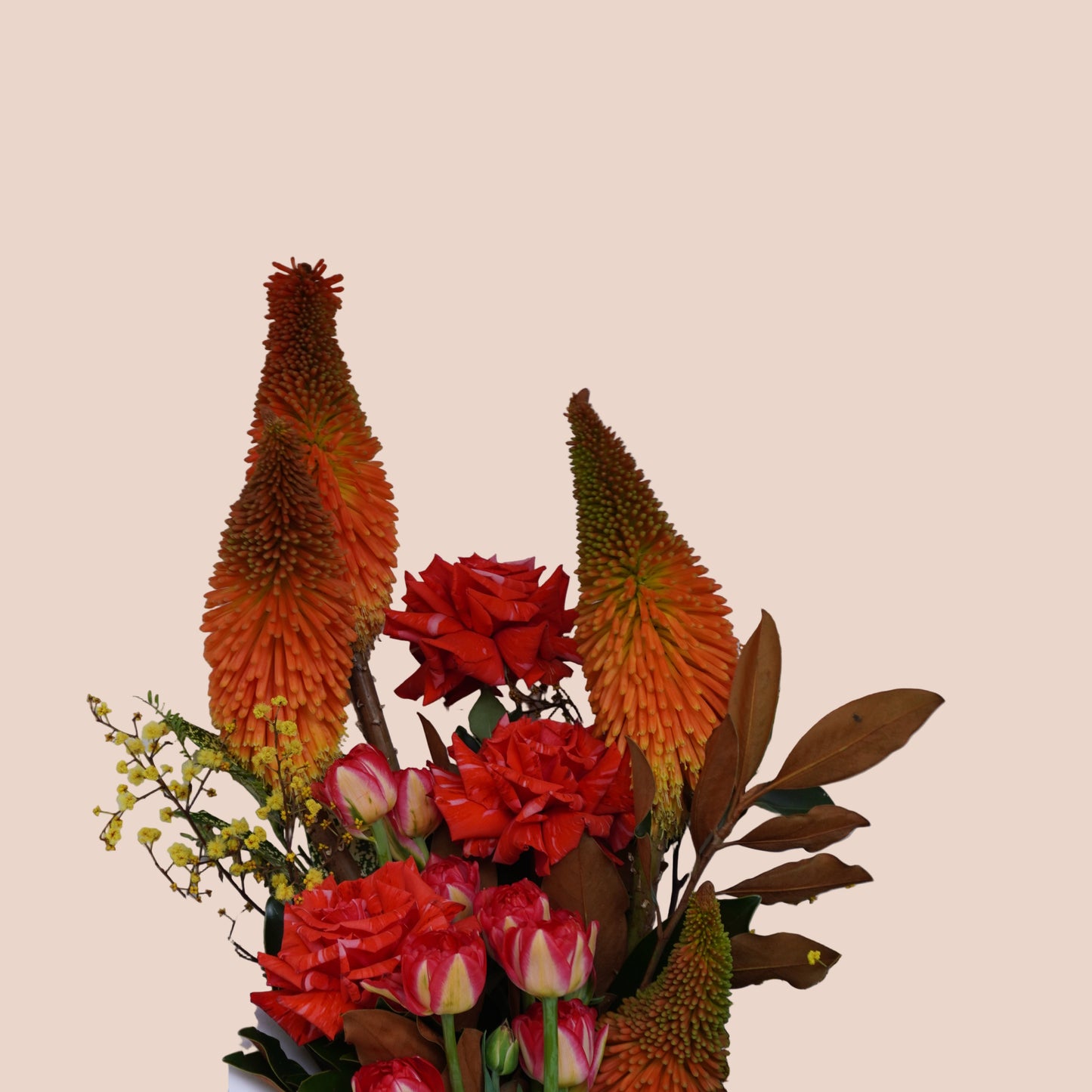 Classic Colour Crush