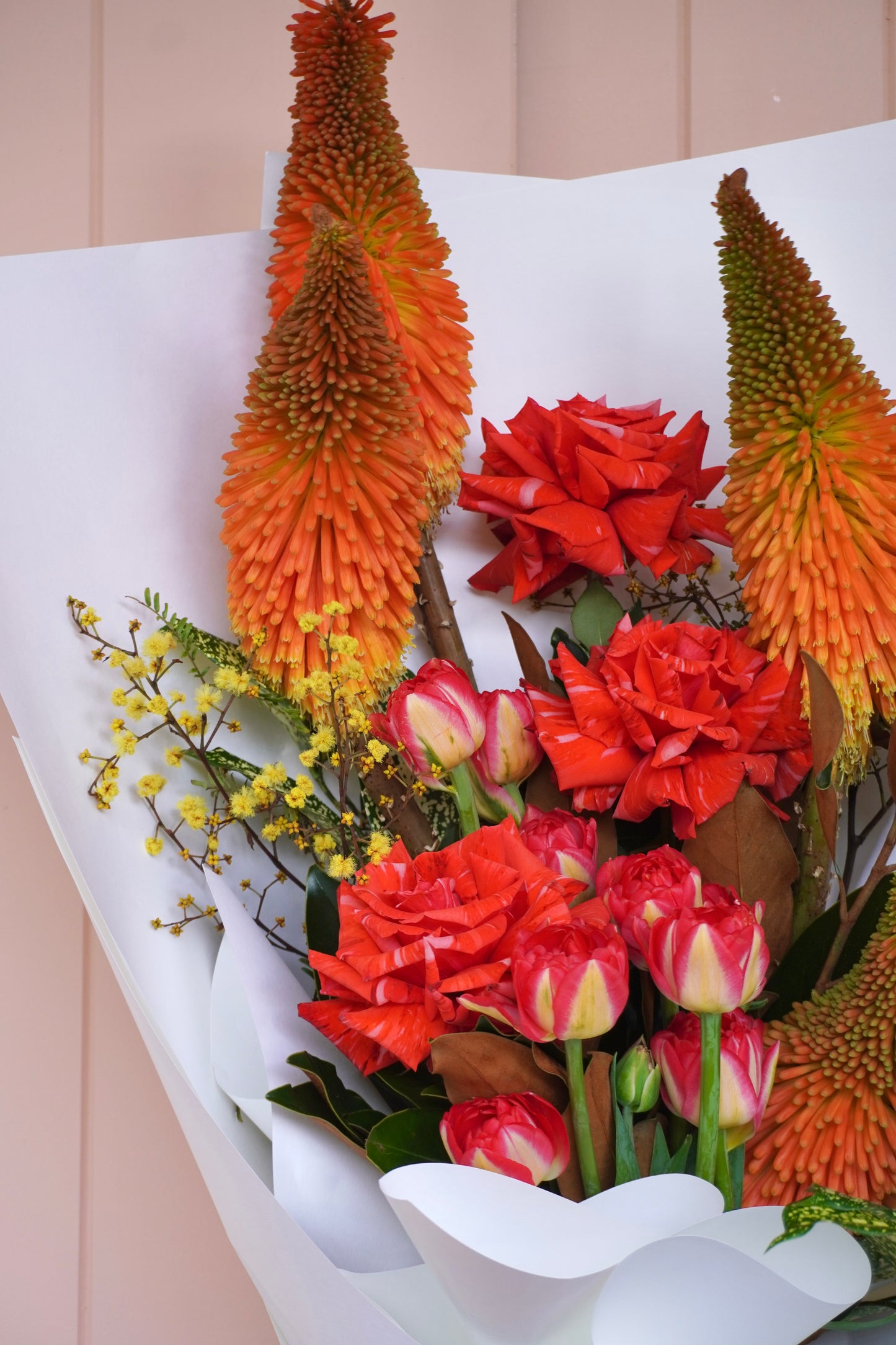 Classic Colour Crush