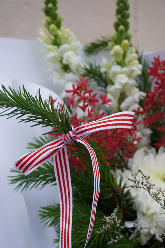 Candy Cane Christmas - Small