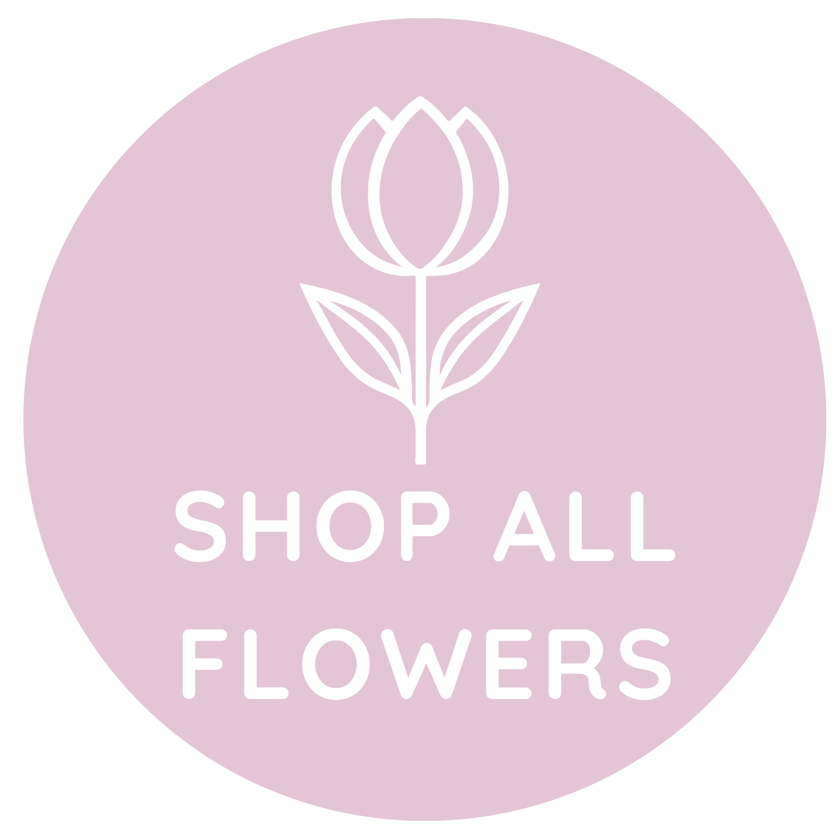 Shop All