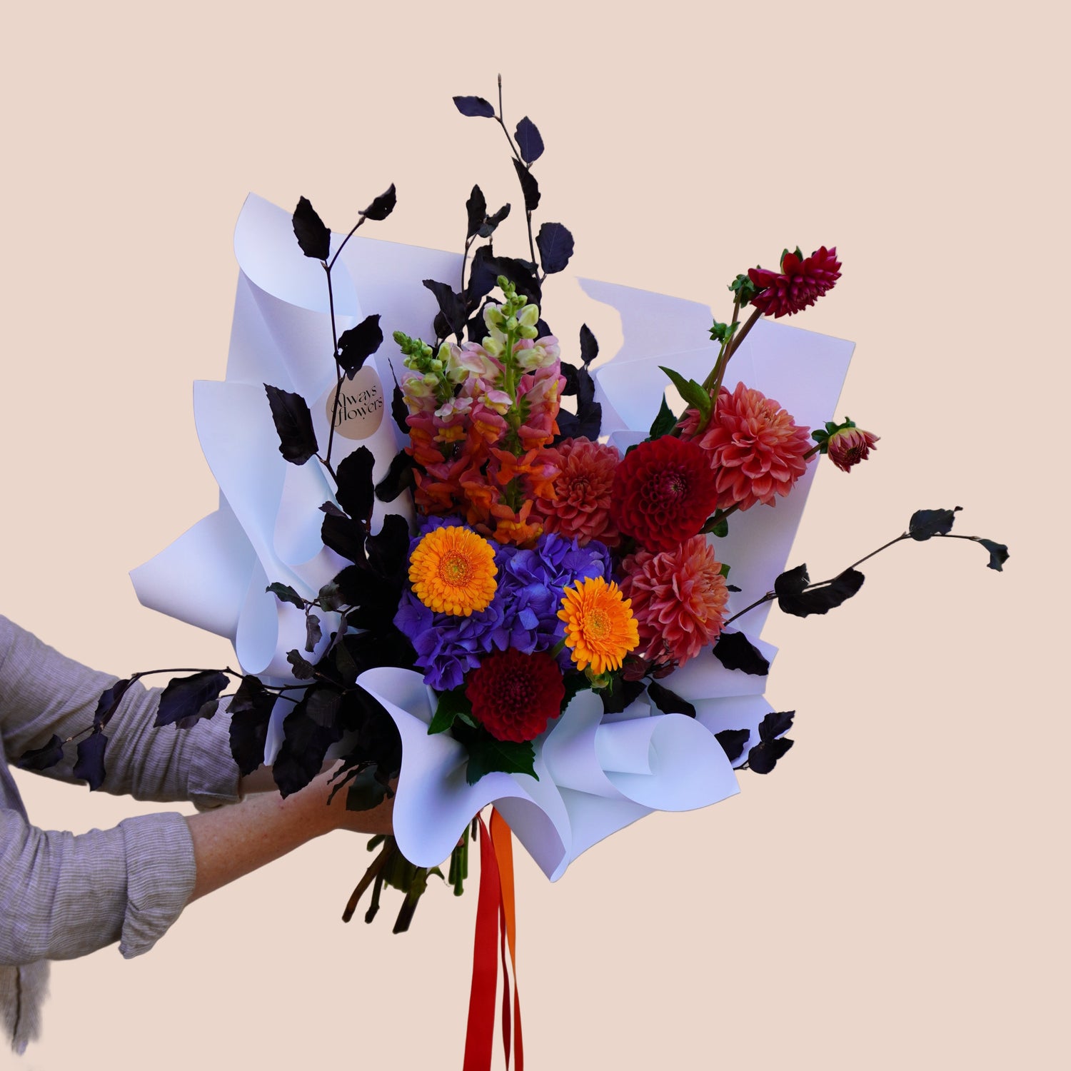 Colour Burst - Florist Choice