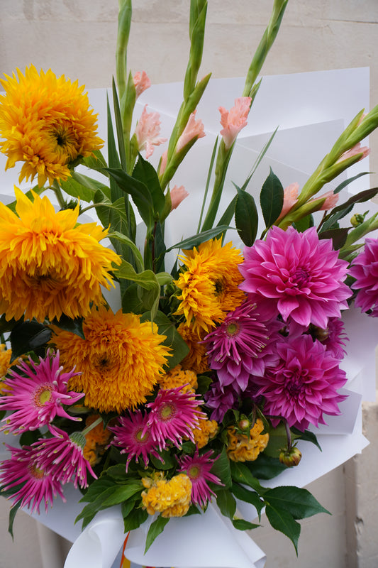 Opulent Colour Crush