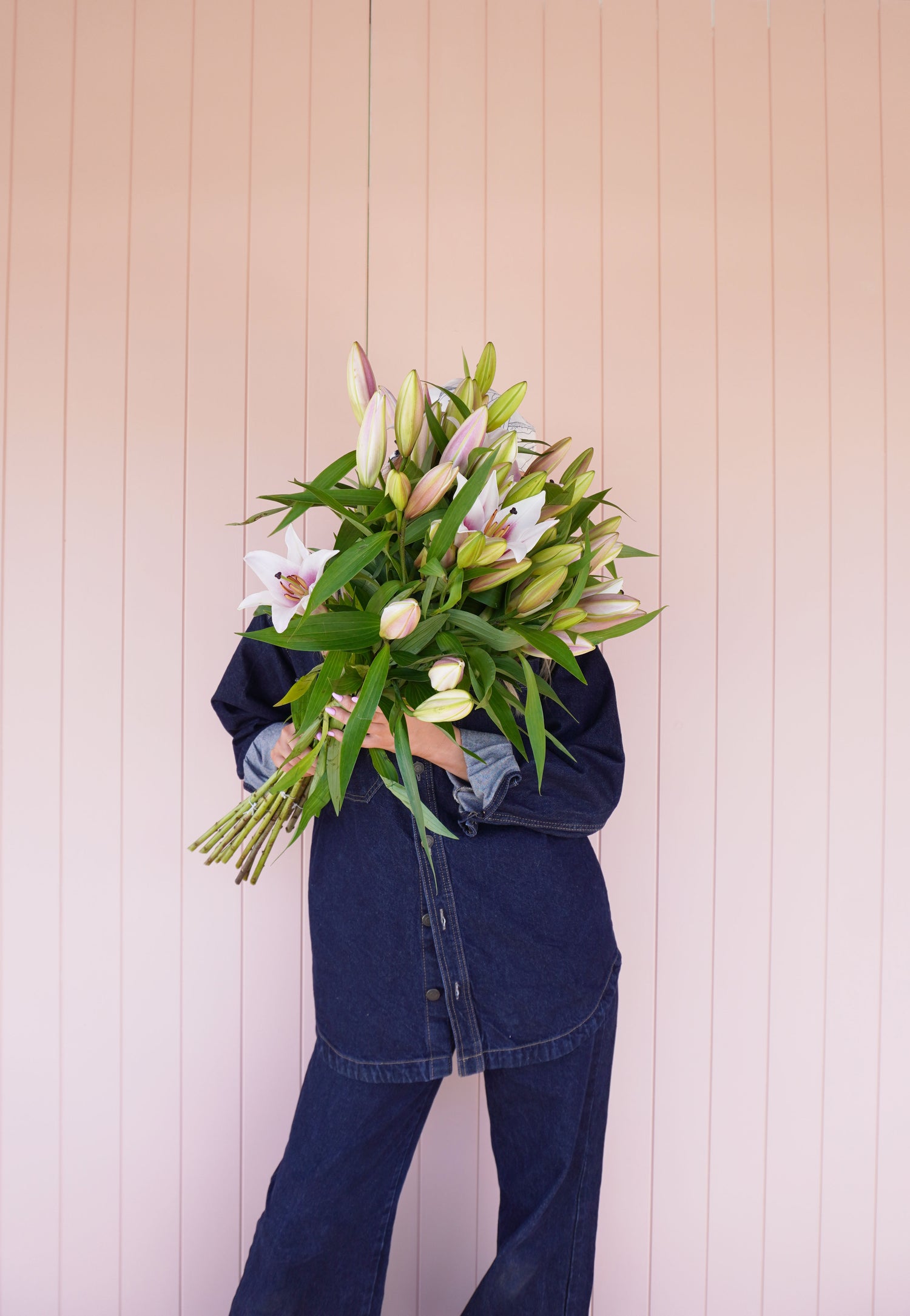 Lilies
