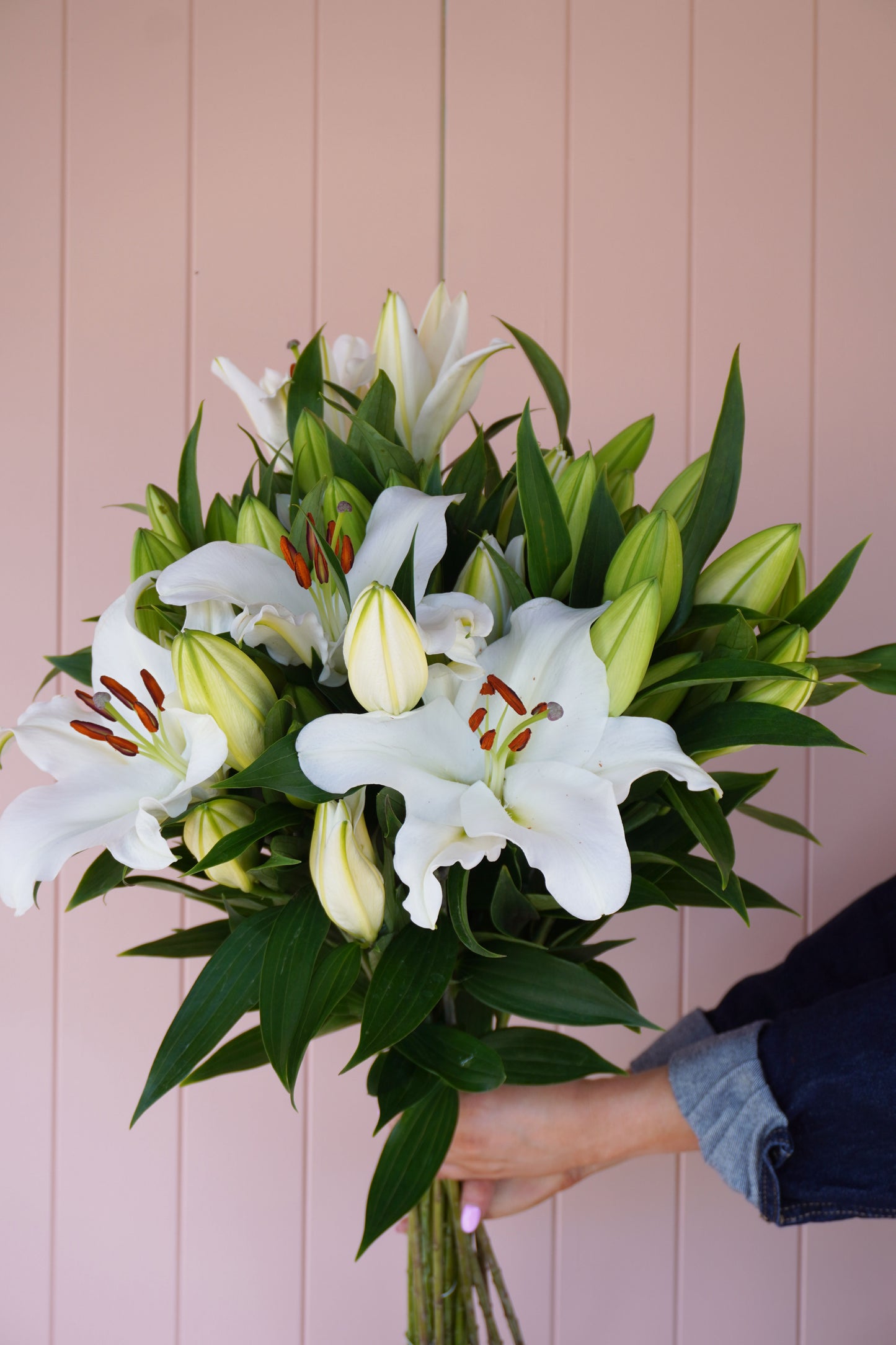 Lilys En Masse
