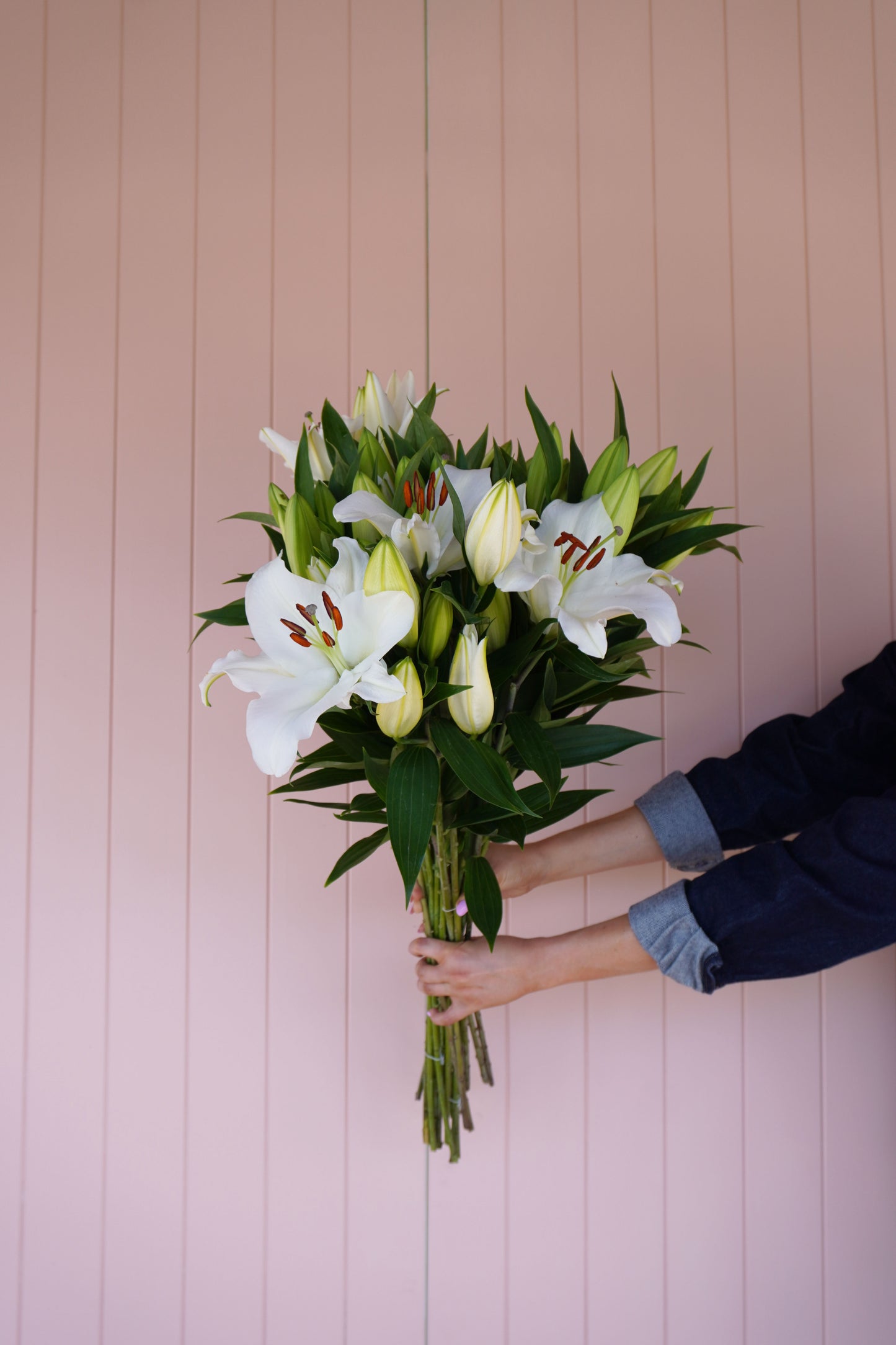 Lilys En Masse