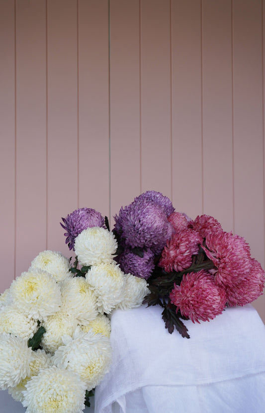 Chrysanthemums