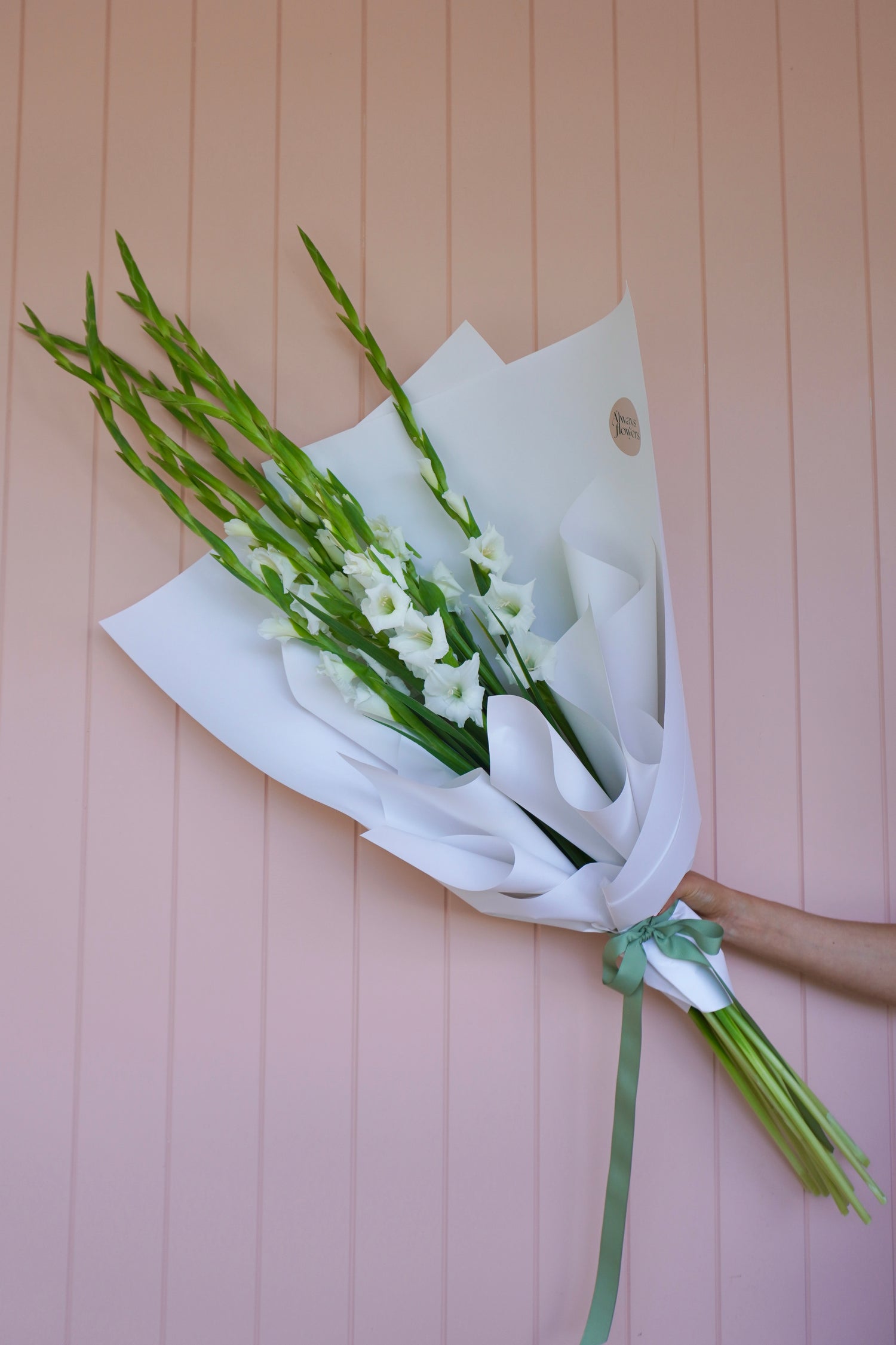 Gladioli