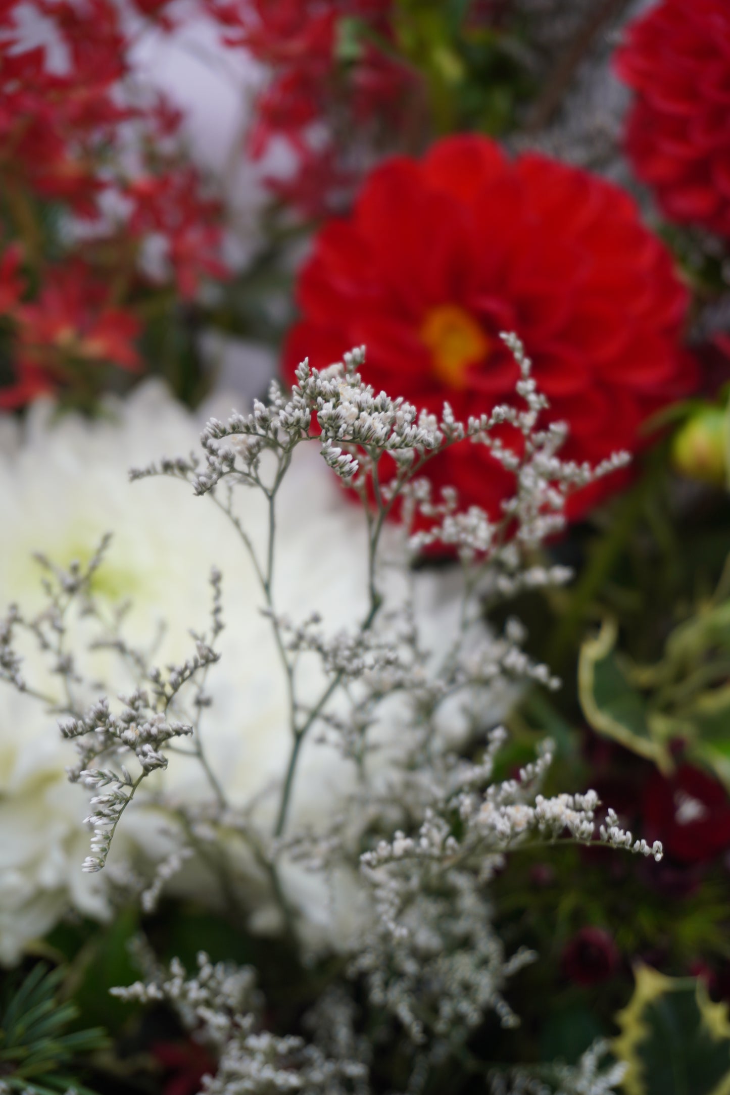 Candy Cane Christmas - Small