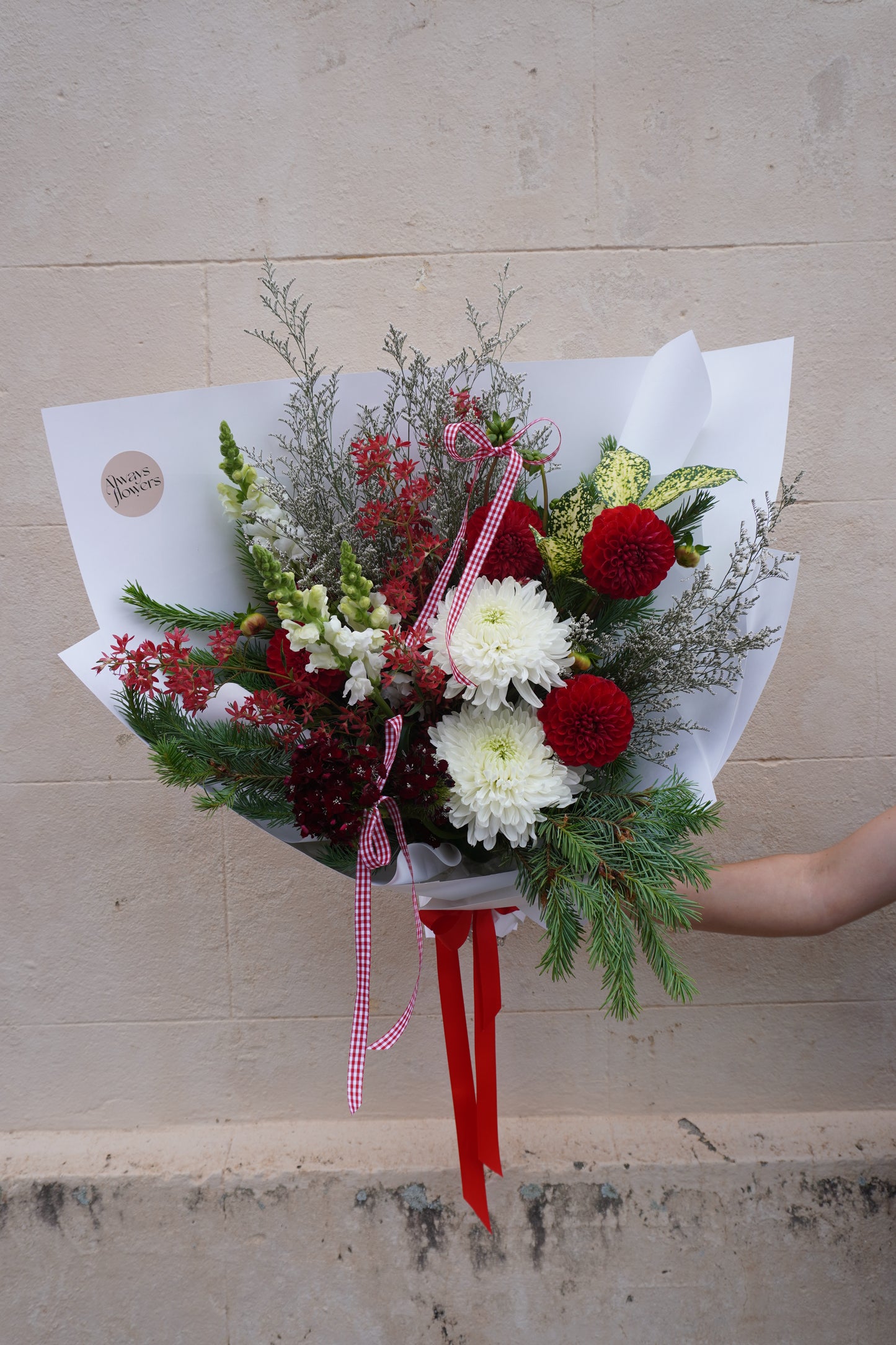 Candy Cane Christmas - Large