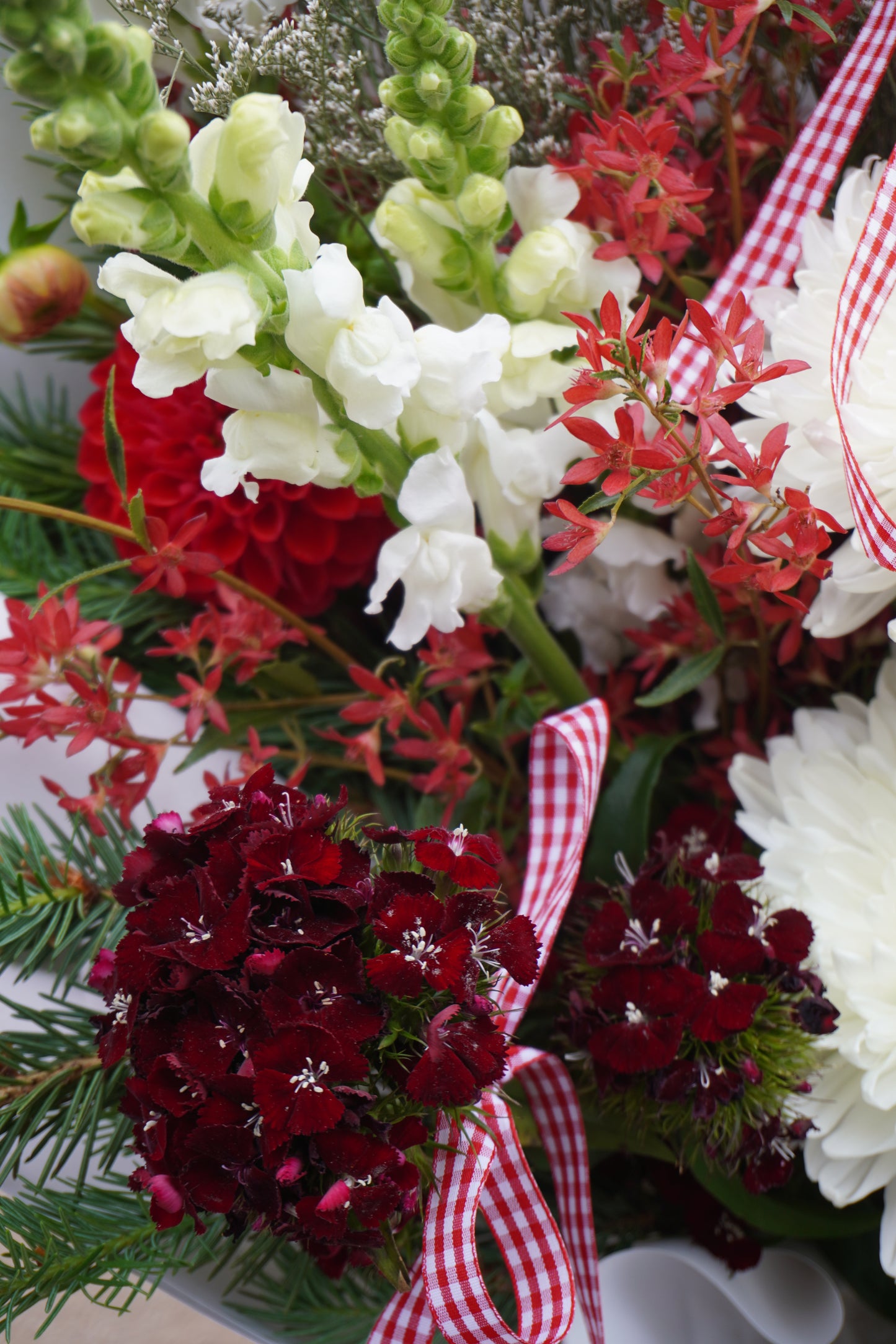 Candy Cane Christmas - Large