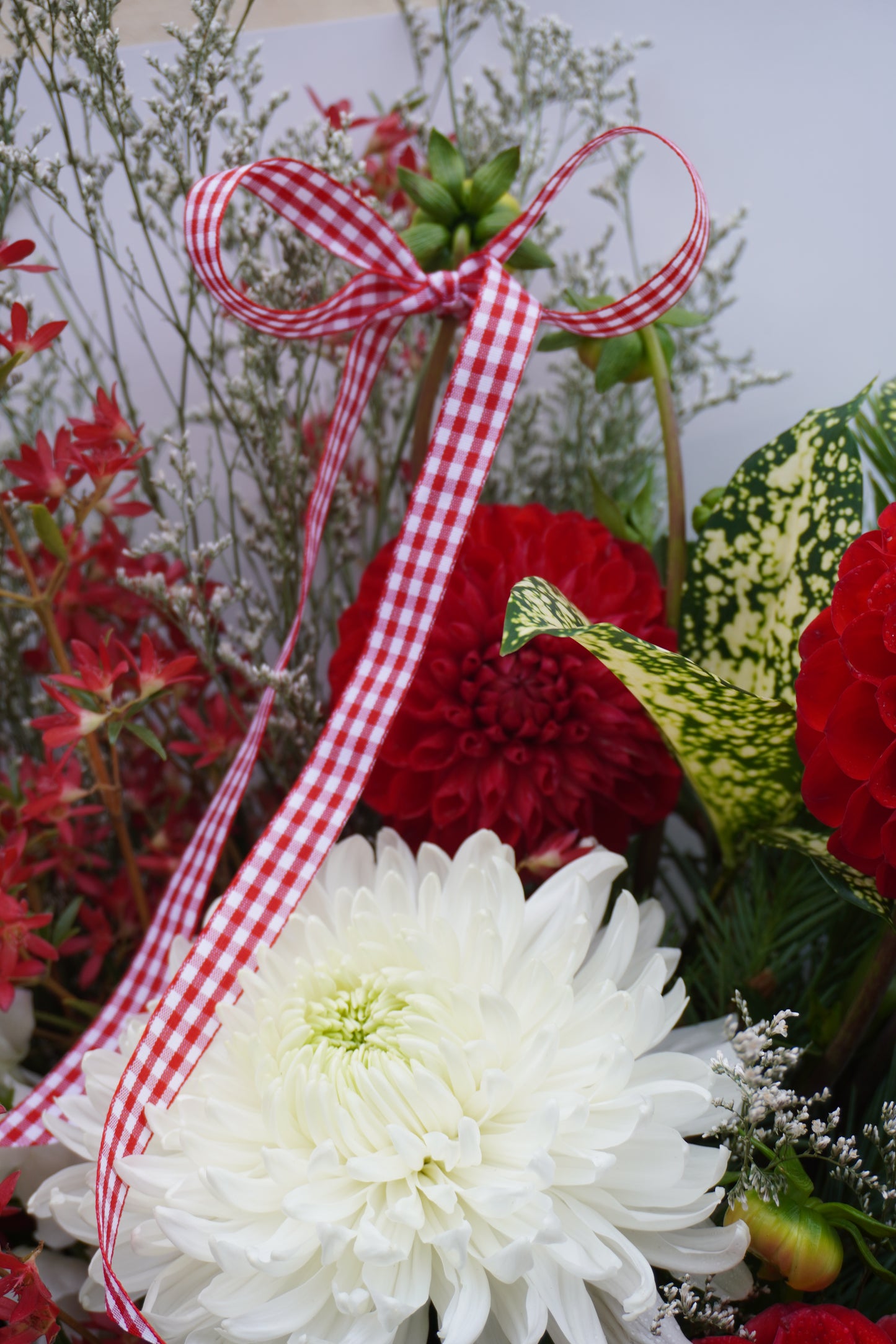 Candy Cane Christmas - Large