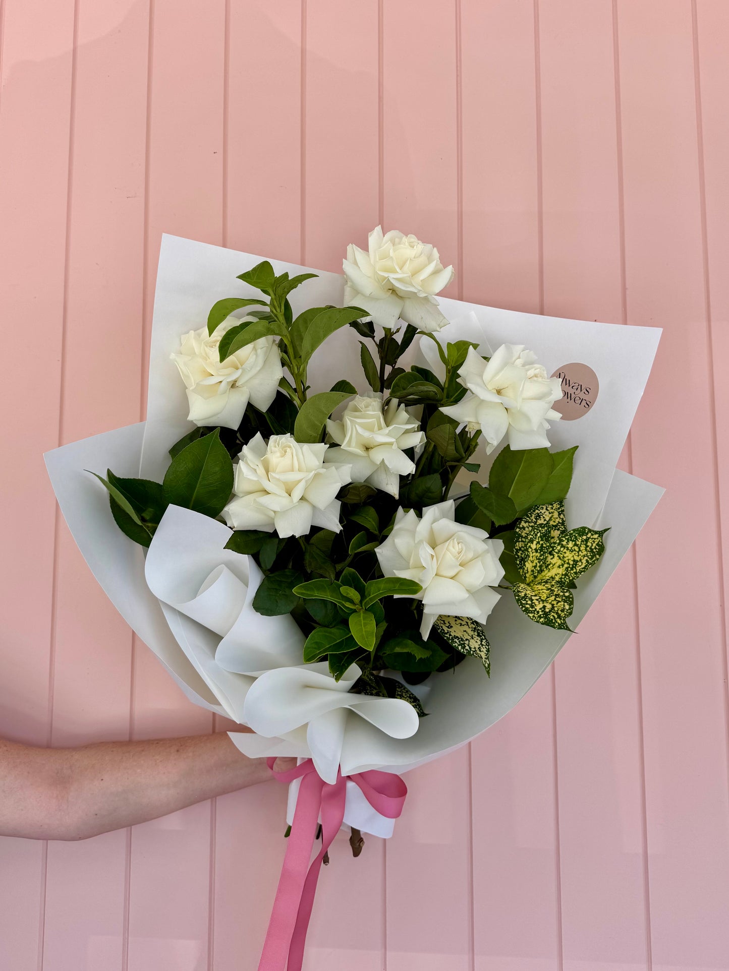 Pure Love - Valentine's Day ONLY