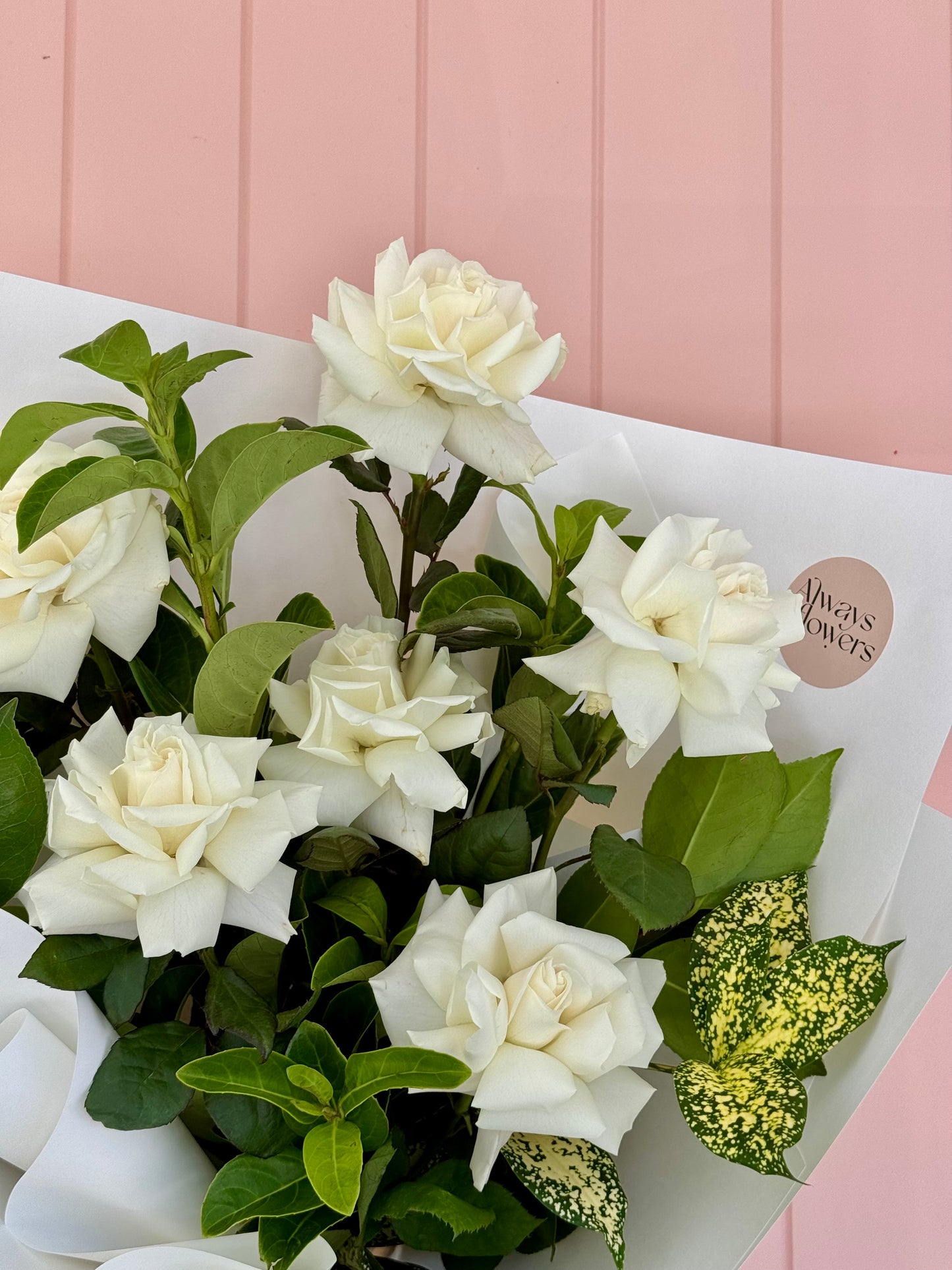 Pure Love - Valentine's Day ONLY