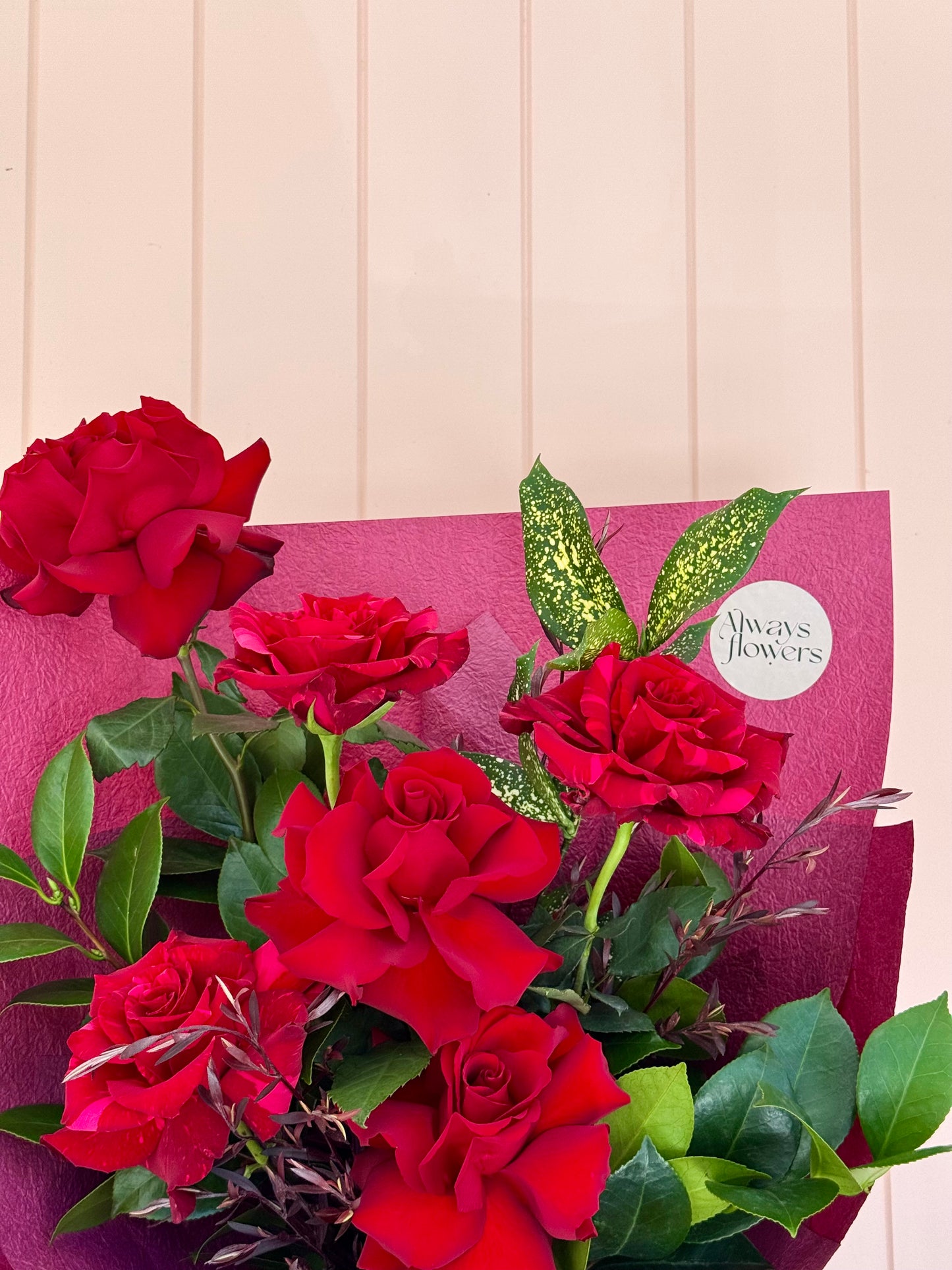 Modern Love - Valentine's Day ONLY