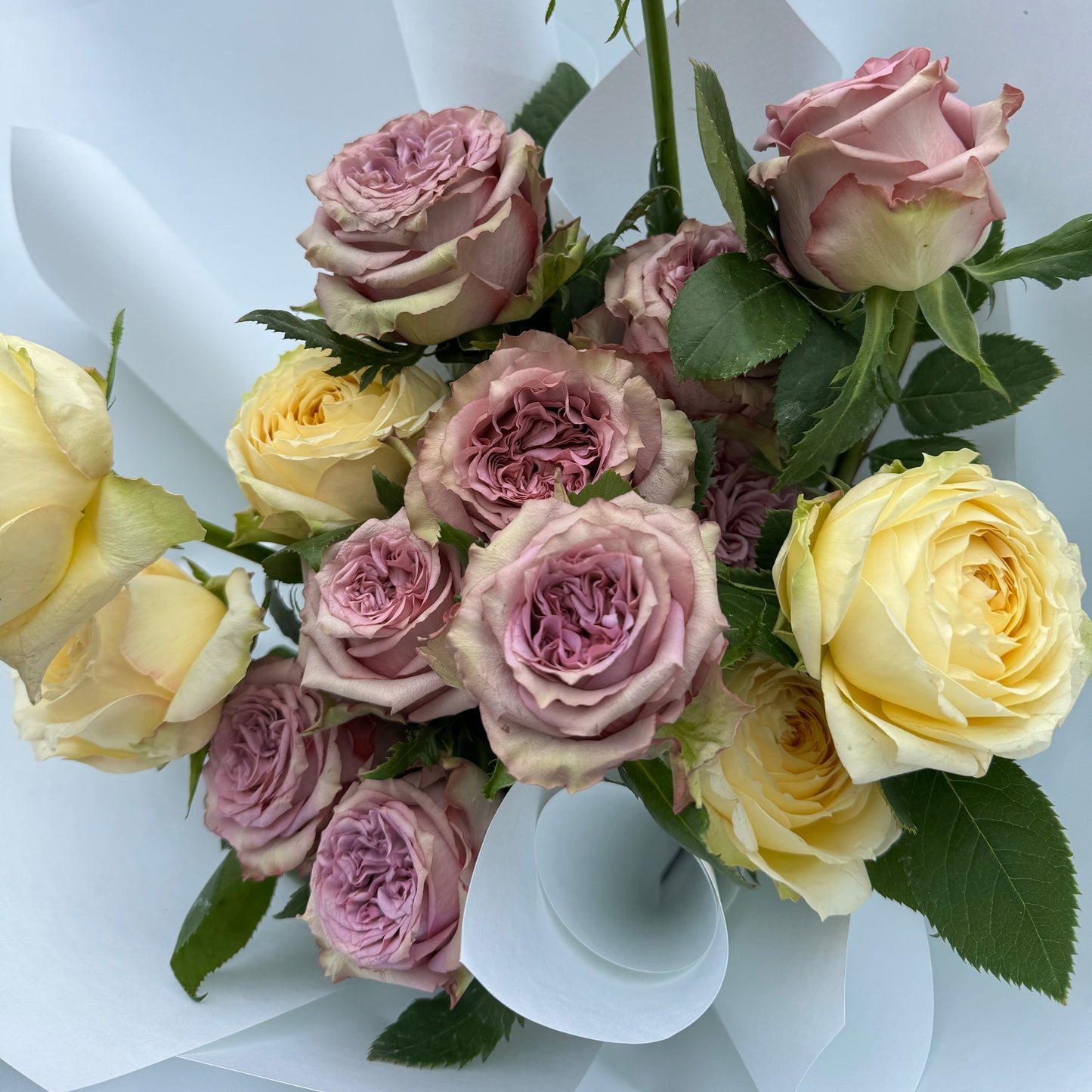 Garden Roses En Masse