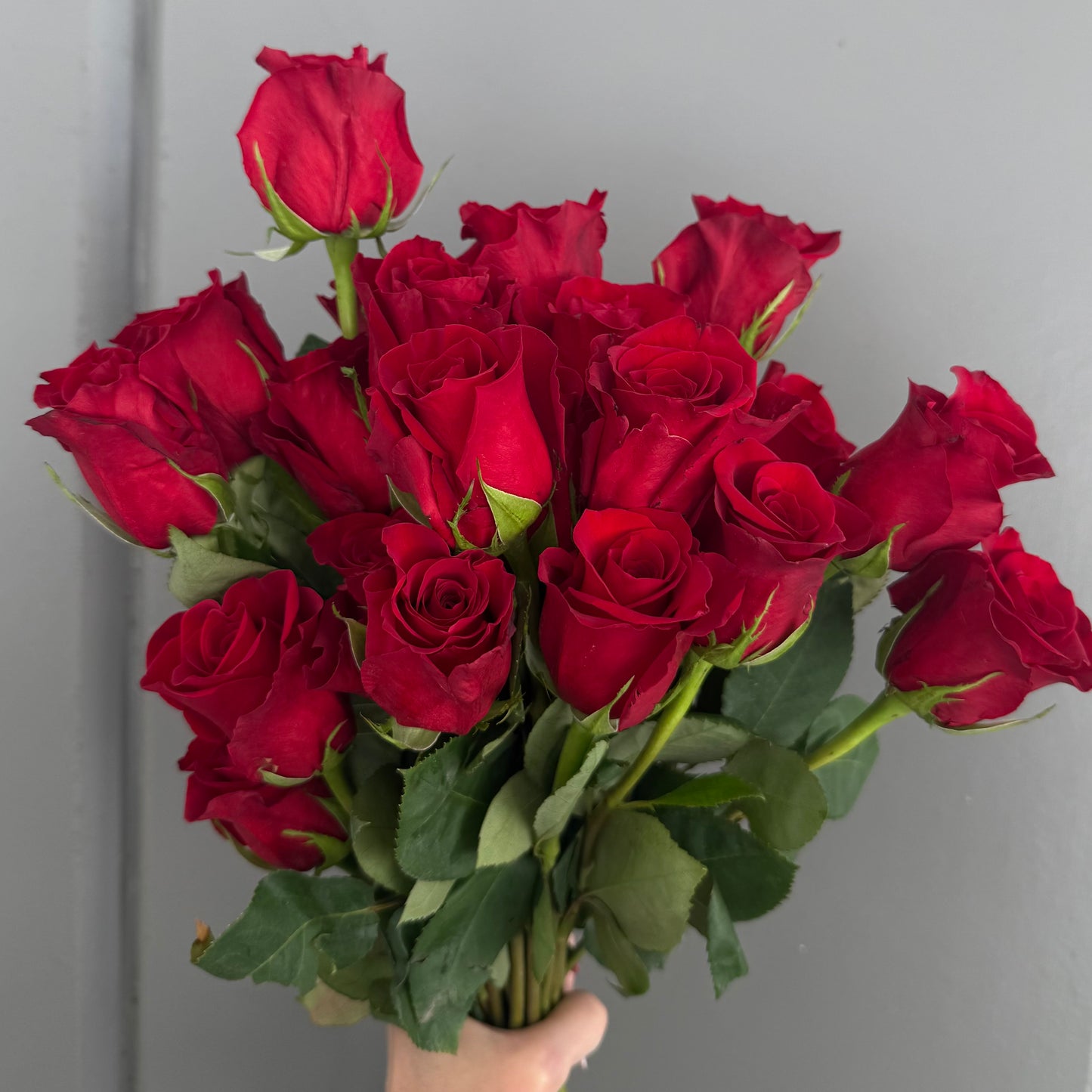 Roses by the Stem
