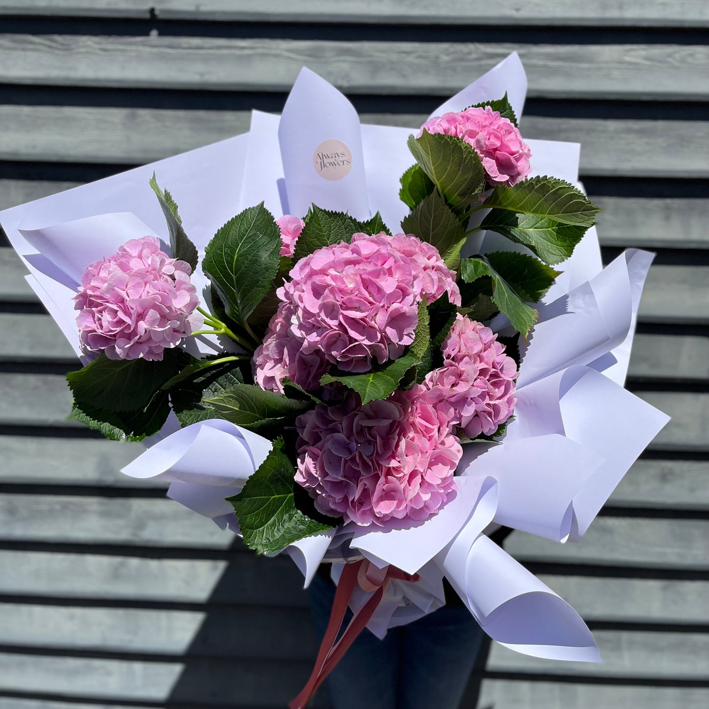 Hydrangea En Masse